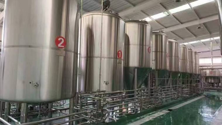 东兴日产10吨精酿啤酒设备多少钱？2026年全套报价帮你算明白